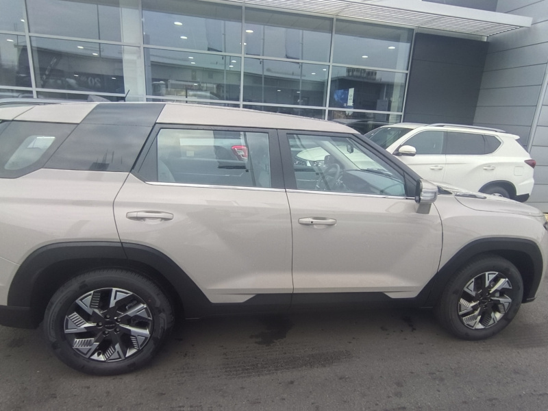 Torres EVX EBL STYLE